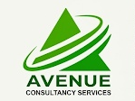 avenue consultancy services
